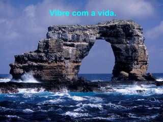 Vibre com a vida.
 
