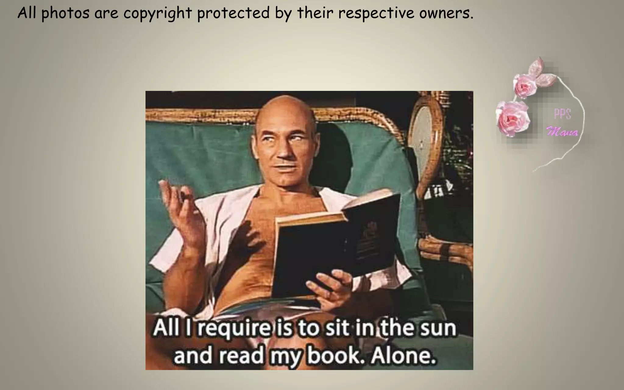 All photos are copyright protected by their respective owners.