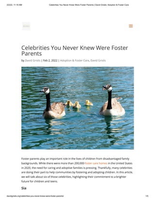 2/2/22, 11:19 AM Celebrities You Never Knew Were Foster Parents | David Grislis: Adoption & Foster Care
davidgrislis.org/celebrities-you-never-knew-were-foster-parents/ 1/5
Celebrities You Never Knew Were Foster
Parents
by David Grislis | Feb 2, 2022 | Adoption & Foster Care, David Grislis
Foster parents play an important role in the lives of children from disadvantaged family
backgrounds. While there were more than 200,000 foster care homes in the United States
in 2020, the need for caring and adoptive families is pressing. Thankfully, many celebrities
are doing their part to help communities by fostering and adopting children. In this article,
we will talk about six of those celebrities, highlighting their commitment to a brighter
future for children and teens.
Sia
a
a
 