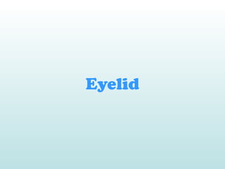 Eyelid
 