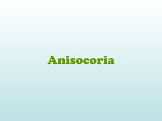 Anisocoria
 