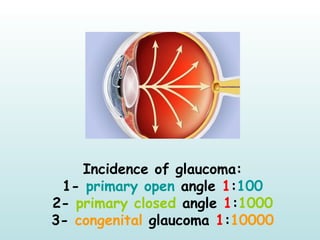 Incidence of glaucoma:
1- primary open angle 1:100
2- primary closed angle 1:1000
3- congenital glaucoma 1:10000
 