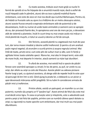 10. Cu toate acestea, trebuie avut mare grijă ca nucile în
formă de spirală să nu fie înțepate de o anumită insectă roșie; dacă o astfel de
nucă înțepată cade în pământ, atunci din ea iese o plantă malefică foarte
otrăvitoare, care este de zece ori mai rea decât așa-numitul Bohonupas; Pentru că,
de îndată ce frunzele sale au ajuns la o înălțime de un metru deasupra solului,
atunci aceste frunze emană o expirație otrăvitoare atât de puternică și de
devastatoare, încât nu numai că ucide toate animalele și oamenii care se apropie
de ea, dar provoacă foarte des, în apropierea unei ore de mers pe jos, o devastare
atât de violentă a plantelor, încât în scurt timp nu mai crește acolo nici măcar o
mică plantă de mușchi, ci totul se usucă și devine un fel de cenușă.
11. Din fericire, această plantă nu vegetează mai mult de șase
luni, dar iarna moare imediat și devine astfel inofensivă. Și pentru că am analizat
puțin regnul vegetal, să aruncăm o scurtă privire și asupra regnului animal. Mai
întâi de toate, priviți cerul, cum este plin de vulturi mari și albi, care în forță și
agilitate întrec toate celelalte specii. Râvna lor, mai ales în timpul iernii, este atât
de mare încât, mai departe în interior, atacă oamenii ca niște lupi zburători.
12. În afară de acestea, mai există încă o specie de păsări
feroce care seamănă aproape cu struții; în loc de pene, au puf, iar unele nu au
aripi, dar altele au aripi ca cele ale liliacului. Aceste păsări au adesea picioare
foarte lungi și pot, cu ajutorul acestora, să alerge atât de repede încât le este ușor
să parcurgă 16 km într-o oră. Când ajung la prada lor, o doboară cu un picior și
apoi devorează mâncarea astfel pregătită. Să nu luăm în considerare armata de
păsări mici și inofensive.
13. Printre altele, există un patruped, un mamifer cu un cioc
puternic; numele său propriu ar fi "pasăre-lup". Acest animal de felul său este mai
crud decât orice tigru. În ceea ce privește solul și mlaștinile, este o adevărată casă
pentru șerpi și tot felul de șopârle, printre care se numără câteva specii dotate cu
aripi; cu siguranță nu toate speciile sunt otrăvitoare, dar mai mult sau mai puțin
dăunătoare.
 