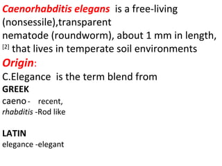 Caenorhabditis elegansisafree-living
(nonsessile),transparent
nematode(roundworm),about1mminlength,
[2]
thatlivesintemperatesoilenvironments
Origin:
C.Eleganceisthetermblendfrom
GREEK
caeno-recent,
rhabditis-Rodlike
LATIN
elegance-elegant
 