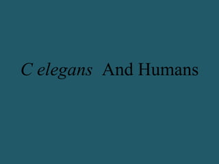 C elegans And Humans
 