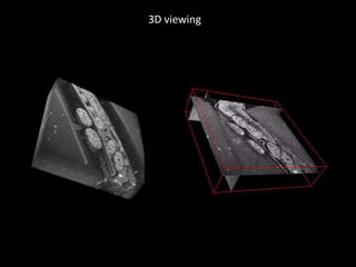 Images with 40x objectiveMuch higherresolution