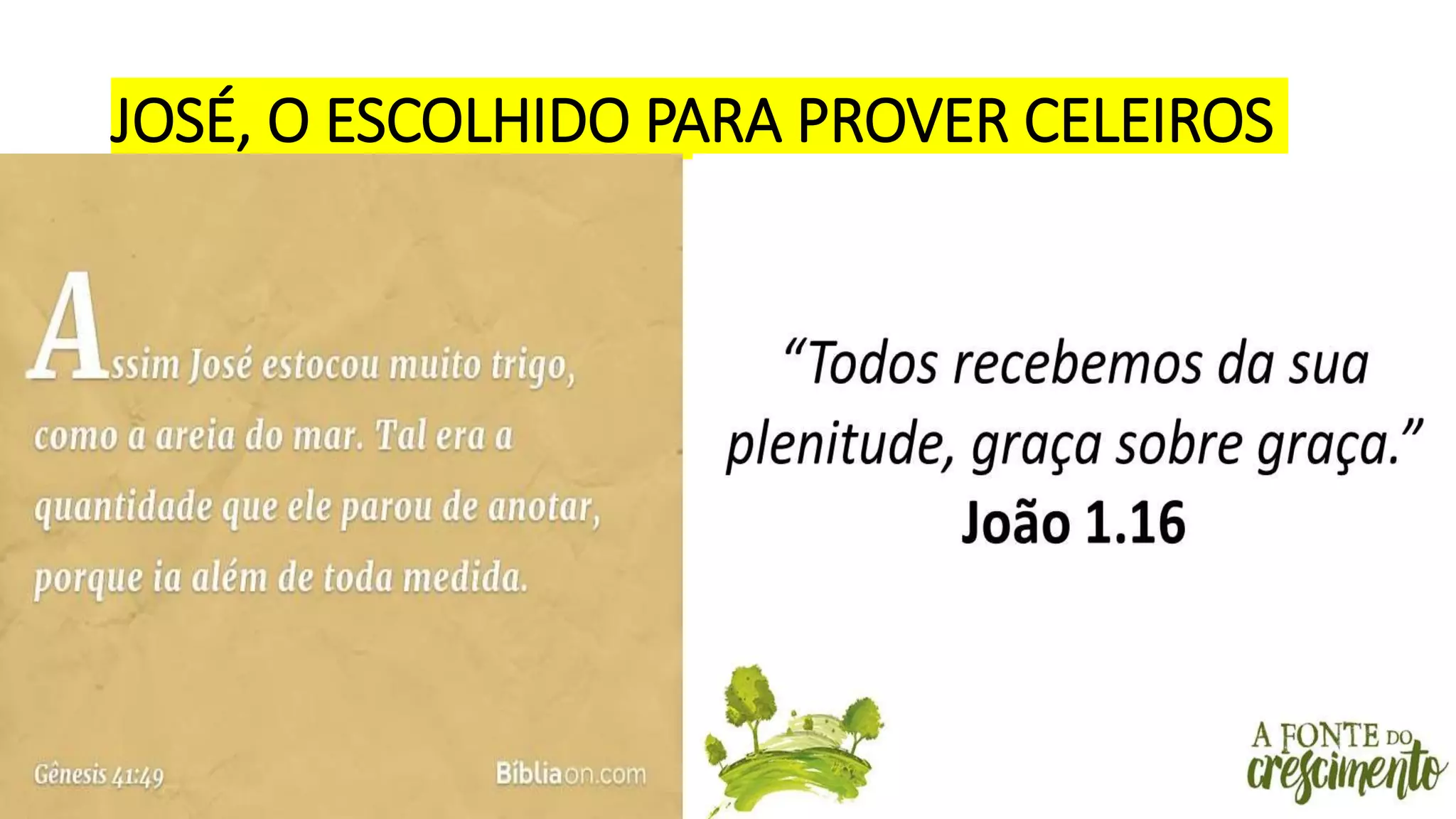 JOSÉ, O ESCOLHIDO PARA PROVER CELEIROS