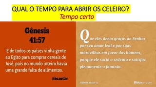 QUAL O TEMPO PARA ABRIR OS CELEIRO?
Tempo certo
 