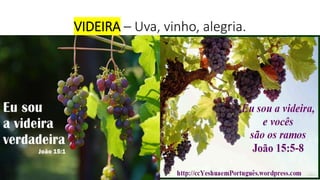 VIDEIRA – Uva, vinho, alegria.
 