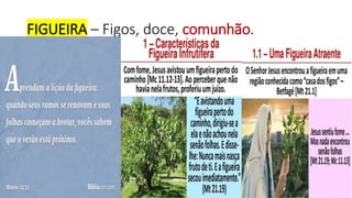 FIGUEIRA – Figos, doce, comunhão.
 