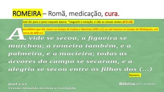 ROMEIRA – Romã, medicação, cura.
Joel diz para o povo naquela época: “rasguem o coração, e não as vossas vestes (Jl 2.13).
acreditam que ele vivem no tempo de Esdras e Neemias (450 a.C) ou até mesmo no tempo de Malaquias, em
cerca de 400 a.C.
Homens.
 