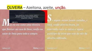 OLIVEIRA – Azeitona, azeite, unção.
 