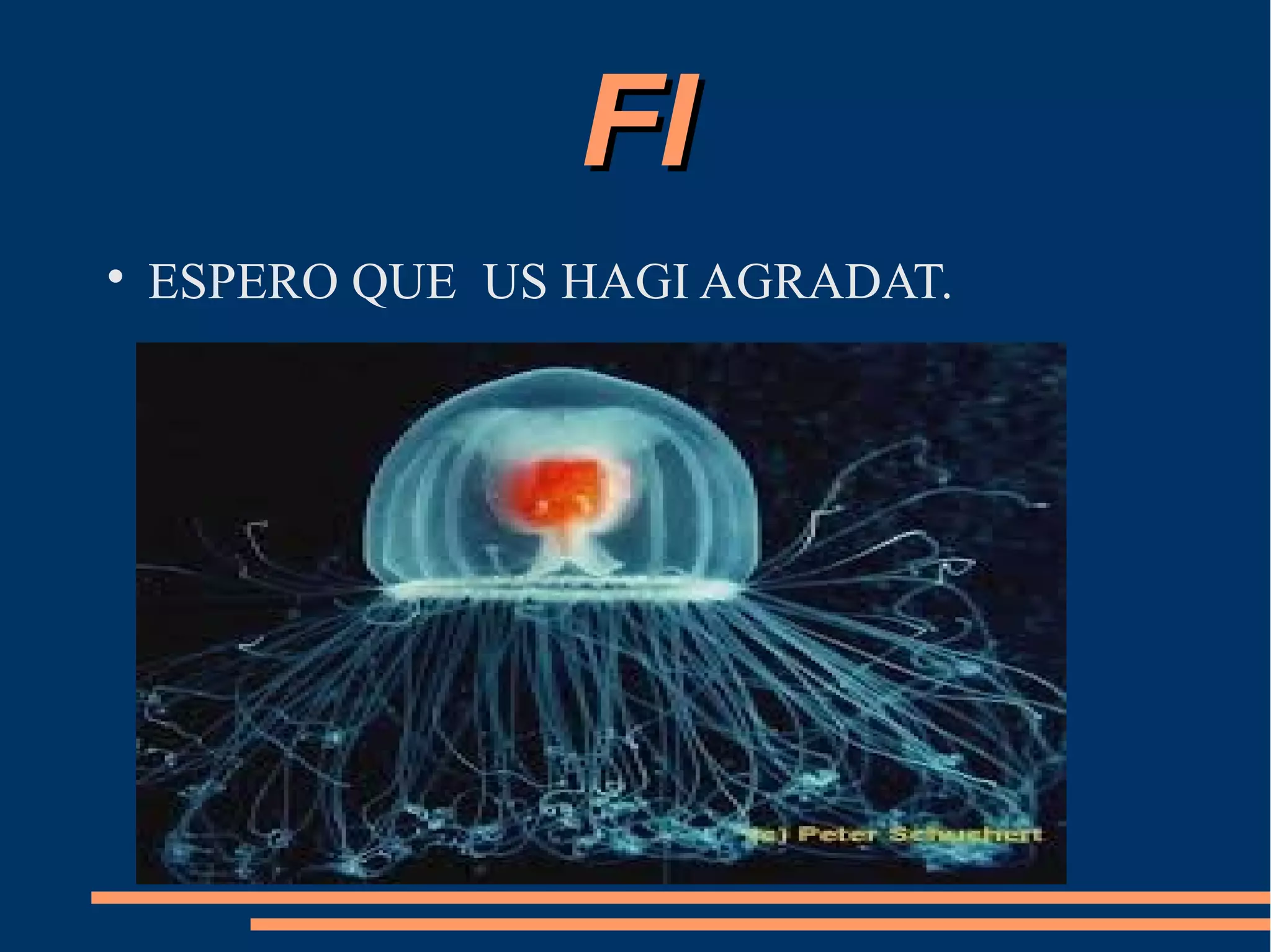 FIFI

ESPERO QUE US HAGI AGRADAT.
 