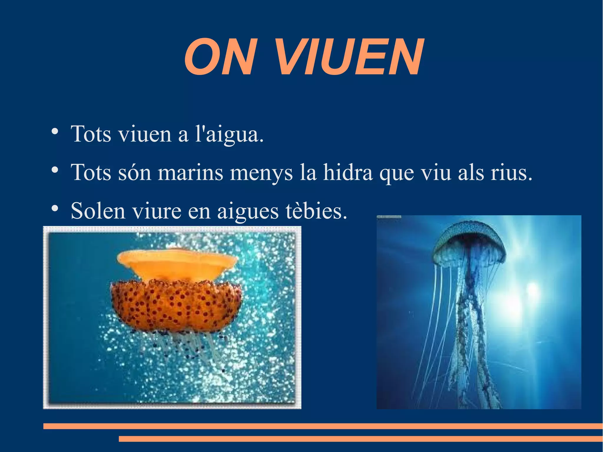 ON VIUEN

Tots viuen a l'aigua.

Tots són marins menys la hidra que viu als rius.

Solen viure en aigues tèbies.
 