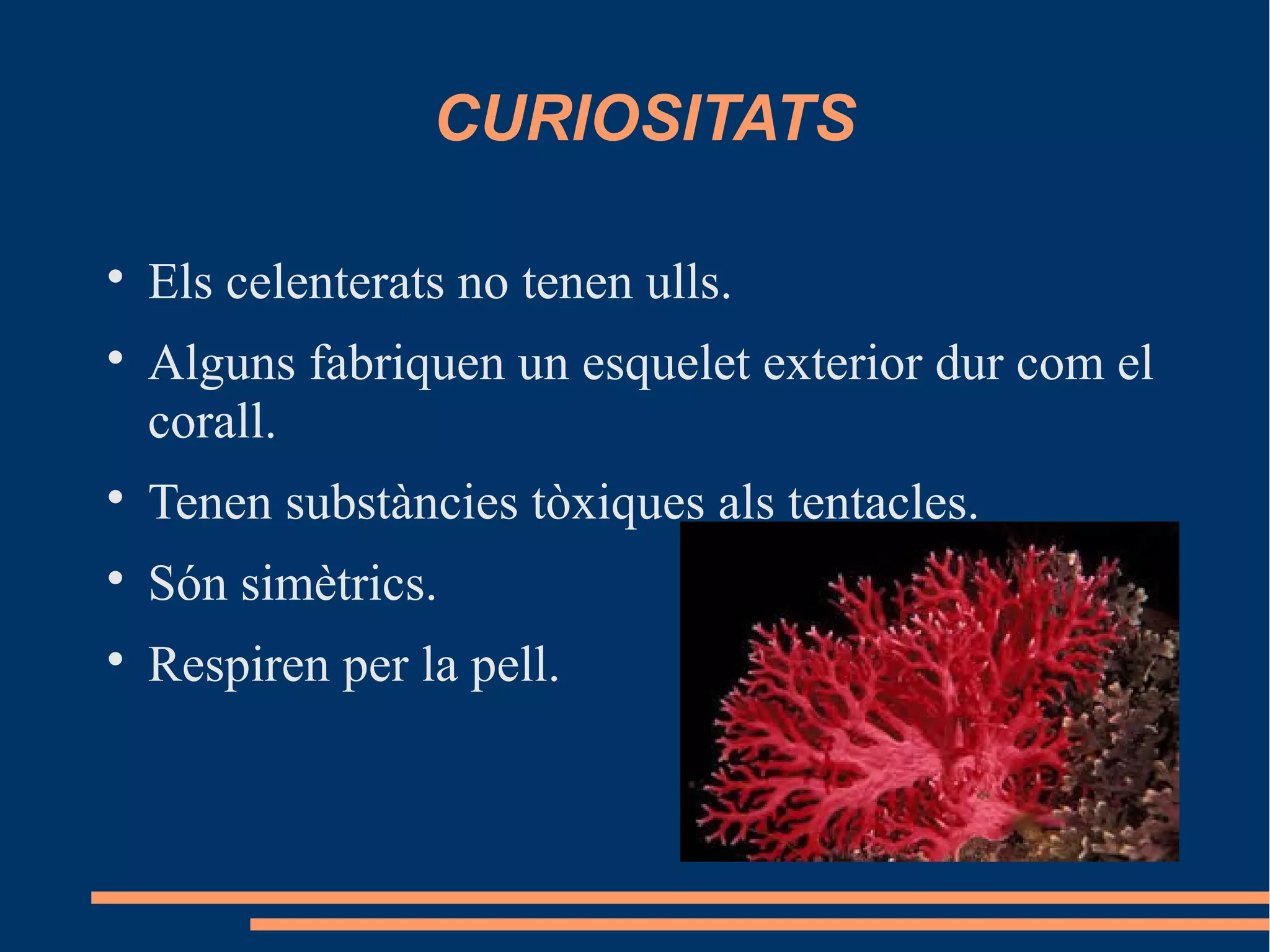 CURIOSITATS

Els celenterats no tenen ulls.

Alguns fabriquen un esquelet exterior dur com el
corall.

Tenen substàncies tòxiques als tentacles.

Són simètrics.

Respiren per la pell.
 