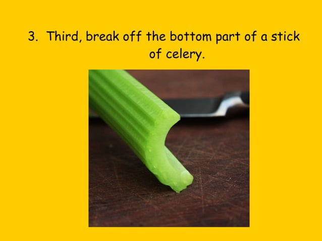 Celery In A Cup | PPT