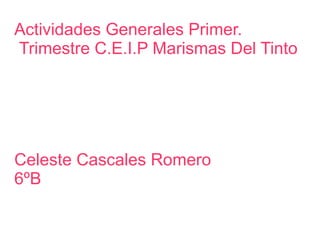 Actividades Generales  Primer. Trimestre C.E.I.P Marismas Del Tinto Celeste Cascales Romero 6ºB 