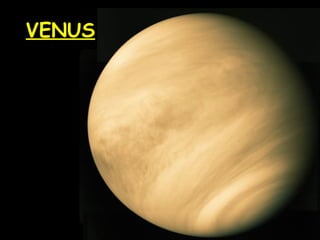 VENUS

 
