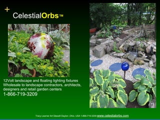CelestialOrbs™




12Volt landscape and floating lighting fixtures
Wholesale to landscape contractors, architects,
designers and retail garden centers
1-866-719-3209



                   Tracy Learner Art Glass® Dayton ,Ohio. USA 1-866-719-3209 www.celestialorbs.com
 