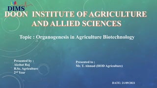 Topic : Organogenesis in Agriculture Biotechnology
Presented by ;
Akshat Raj
B.Sc. Agriculture
2nd Year
Presented to ;
Mr. T. Ahmad (HOD Agriculture)
DATE: 21/09/2021
 