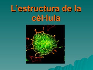 L’estructura de la cèl·lula 