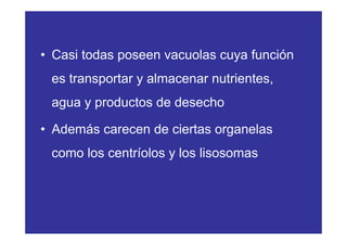• Casi todas poseen vacuolas cuya función
es transportar y almacenar nutrientes,
agua y productos de desecho
• Además carecen de ciertas organelas
como los centríolos y los lisosomas
 