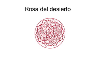 Rosa del desierto  