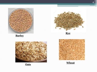 celiac disease 0r gluten enteropathy ppty | PPT