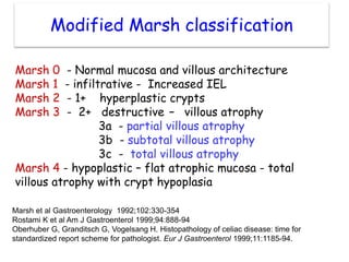March Classification celiac-disease powerpoint presentation hai | PPSX