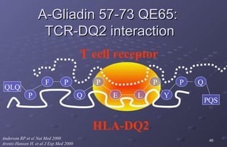 A-Gliadin 57-73 QE65:
                   TCR-DQ2 interaction
                                        T cell receptor

                      F         P           P           P       P   Q
 QLQ
             P                          Q       E   L       Y
                                                                        PQS


                                            HLA-DQ2
Anderson RP et al Nat Med 2000                                           46
Arentz-Hansen H. et al J Exp Med 2000
 