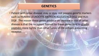GENETICS
• Patient with celiac disease may or may not possess genetic markers
such as HUMAN LEUKOCYTE ANTIGEN ALLELES HLD-DQ2 and HLA-
DQ8 . The reason these genes produce an increase in risk of celiac
disease is that the receptors formed by these genes bind to gliadin
peptides more tightly than other forms of the antigen presenting
receptor.
 