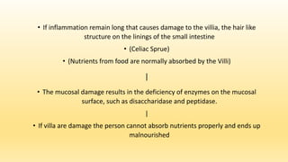 • If inflammation remain long that causes damage to the villia, the hair like
structure on the linings of the small intestine
• (Celiac Sprue)
• (Nutrients from food are normally absorbed by the Villi)
|
• The mucosal damage results in the deficiency of enzymes on the mucosal
surface, such as disaccharidase and peptidase.
|
• If villa are damage the person cannot absorb nutrients properly and ends up
malnourished
 