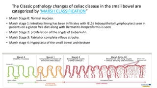 The Classic pathology changes of celiac disease in the small bowel are
categorized by ‘MARSH CLASSIFICATION”
• Marsh Stage 0: Normal mucosa.
• Marsh stage 1: Intestinal lining has been infiltrates with IELS ( Intraepithelial Lymphocytes) seen in
patients on a gluten free diet along with Dermatitis Herpetiformis is seen
• Marsh Stage 2: proliferation of the crypts of Lieberkuhn.
• Marsh Stage 3: Patrial or complete villous atrophy.
• Marsh stage 4: Hypoplasia of the small bowel architecture
 