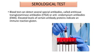 SEROLOGICAL TEST
• Blood test can detect several special antibodies, called antitissue
transglutaminase antibodies (tTGA) or anti- endomysium antibodies
(EMA). Elevated levels of certain antibody proteins indicate an
immune reaction gluten.
 
