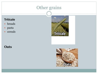 Other grains
Triticale
 breads
 pasta
 cereals
Oats
 