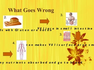 What Goes Wrong 3. Gluten makes Villi surface area small 3. Not as many nutrients absorbed and go to blood Villi are in sm...