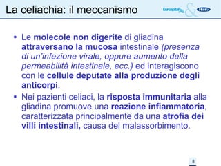La celiachia: il meccanismo Le  molecole non digerite  di gliadina  attraversano la mucosa  intestinale  (presenza di un’infezione virale, oppure aumento della  permeabilità intestinale, ecc.)  ed interagiscono con le  cellule deputate alla produzione degli anticorpi . Nei pazienti celiaci, la  risposta immunitaria  alla gliadina promuove una  reazione infiammatoria , caratterizzata principalmente da una  atrofia dei  villi intestinali,  causa del malassorbimento. 
