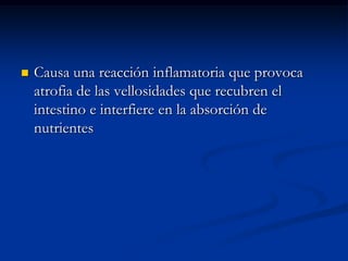    Causa una reacción inflamatoria que provoca
    atrofia de las vellosidades que recubren el
    intestino e interfiere en la absorción de
    nutrientes
 