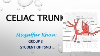 CELIAC TRUNK
Muzaffar Khan
GROUP 3
STUDENT OF TSMU
 