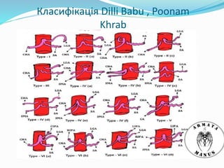 Класифікація Dilli Babu , Poonam
Khrab
 