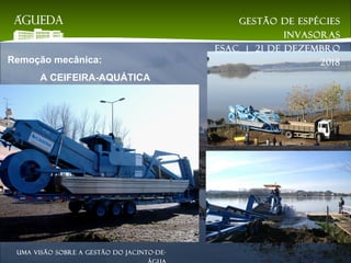 Remoção mecânica:
A CEIFEIRA-AQUÁTICA
Gestão de espécies
invasoras
EsAC | 21 de dezembro
2018
Uma visão sobre a gestão do jacinto-de-
 