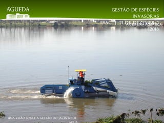 A CEIFEIRA AQUÁTICA
Gestão de espécies
invasoras
EsAC | 21 de dezembro
2018
Uma visão sobre a gestão do jacinto-de-
 