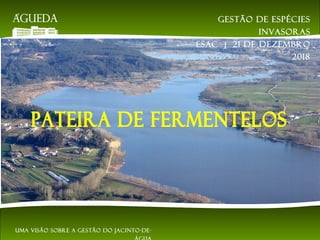 Uma visão sobre a gestão do jacinto-de-
Gestão de espécies
invasoras
EsAC | 21 de dezembro
2018
 