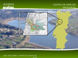 Gestão de espécies
invasoras
EsAC | 21 de dezembro
2018
Uma visão sobre a gestão do jacinto-de-
 
