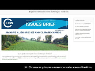 Torres Novas | 2011
http://invasoras.pt/especies-invasoras-alteracoes-climaticas/
http://invasoras.pt/especies-invasoras-alteracoes-climaticas/
 