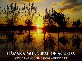 Celia laranjeiraCMAcm ajacinto_de_agua