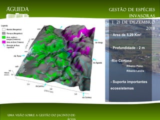 - Area de 5,29 Km2
- Profundidade - 2 m
-Rio Cértima
Ribeira Pano
Ribeira Levira
- Suporta importantes
ecossistemas
Gestão de espécies
invasoras
EsAC | 21 de dezembro
2018
Uma visão sobre a gestão do jacinto-de-
 