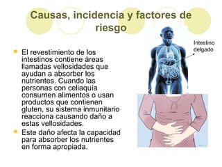 Causas, incidencia y factores de
riesgo




El revestimiento de los
intestinos contiene áreas
llamadas vellosidades que
ayudan a absorber los
nutrientes. Cuando las
personas con celiaquía
consumen alimentos o usan
productos que contienen
gluten, su sistema inmunitario
reacciona causando daño a
estas vellosidades.
Este daño afecta la capacidad
para absorber los nutrientes
en forma apropiada.

Intestino
delgado

 