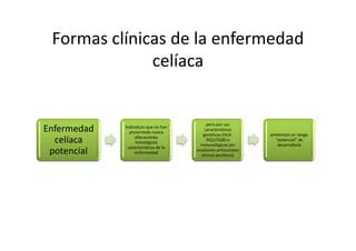 Formas clínicas de la enfermedad
              celíaca


                                            pero por sus
Enfermedad   Individuos que no han
               presentado nunca
                                           características
                                          genéticas (HLA-     presentan un riesgo
                  alteraciones
  celíaca         histológicas
                                            DQ2/DQ8) o
                                        inmunológicas (en
                                                                “potencial” de
                                                                 desarrollarla
              características de la
 potencial        enfermedad
                                      ocasiones anticuerpos
                                         séricos positivos)
 