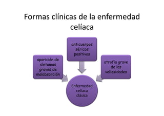 Formas clínicas de la enfermedad
             celíaca
                  anticuerpos
                    séricos
                   positivos
   aparición de
                                atrofia grave
    síntomas
                                     de las
    graves de
                                 vellosidades
   malabsorción

                  Enfermedad
                    celíaca
                     clásica
 